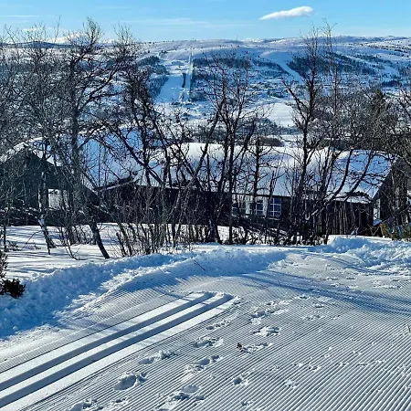 Vasethytta - With A Lovely View Ron