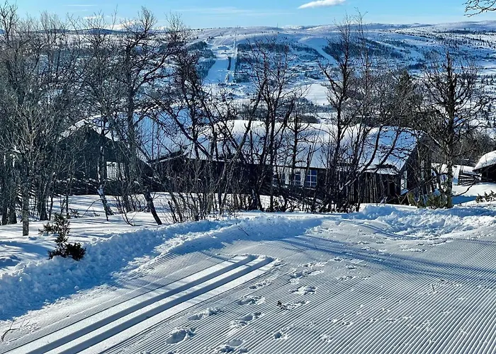 Vasethytta - With A Lovely View Ron