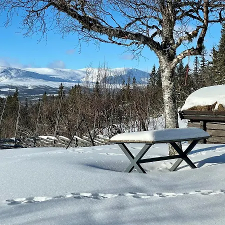 Vasethytta - With A Lovely View شاليه *