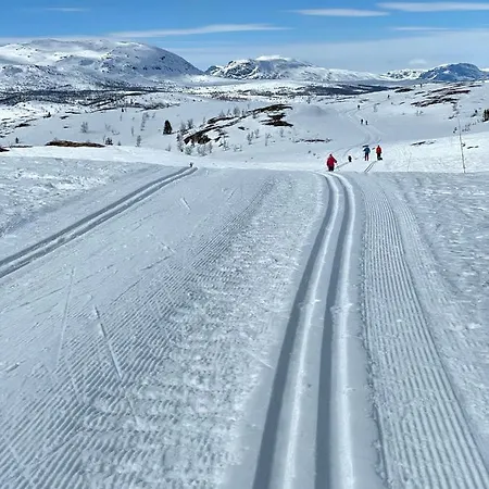 Vasethytta - With A Lovely View * Ron